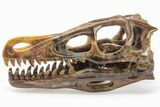 Carved Pietersite Dinosaur Skull - Very Chatoyant #199473-4
